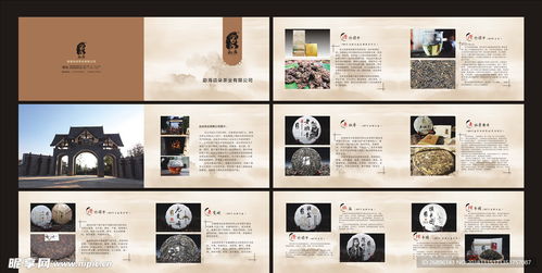 茶韻盡顯 專業(yè)茶葉產(chǎn)品畫冊設(shè)計(jì)圖代理代辦服務(wù)